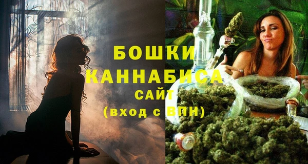 стафф Дмитровск