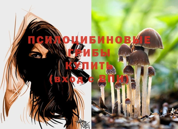 стафф Дмитровск