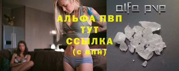 стафф Дмитровск