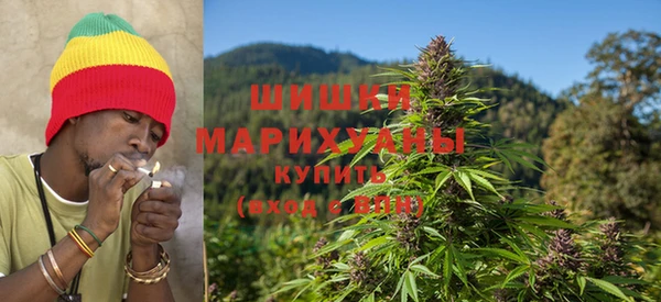 стафф Дмитровск