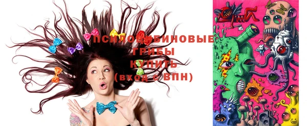 стафф Дмитровск