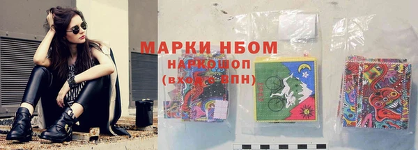 стафф Дмитровск