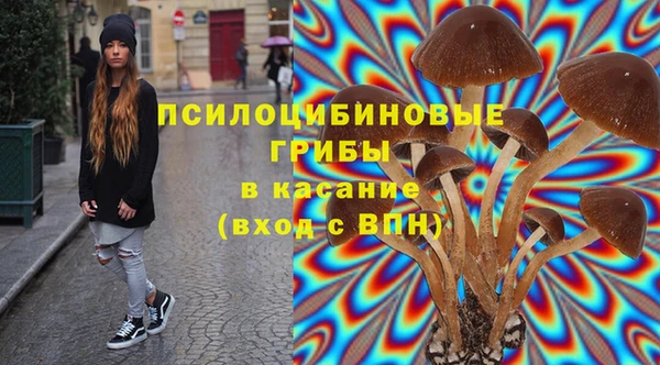 стафф Дмитровск