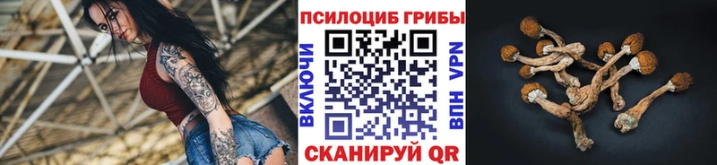 Галлюциногенные грибы MAGIC MUSHROOMS  Купить где  Клинцы 