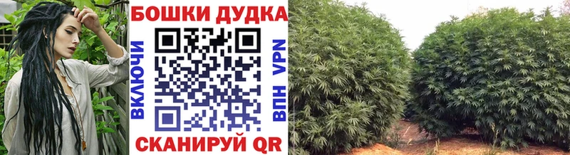 Бошки марихуана Ganja  Купить  Клинцы 